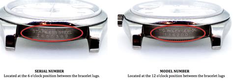 numbers on caseback of rolex|rolex value by model number.